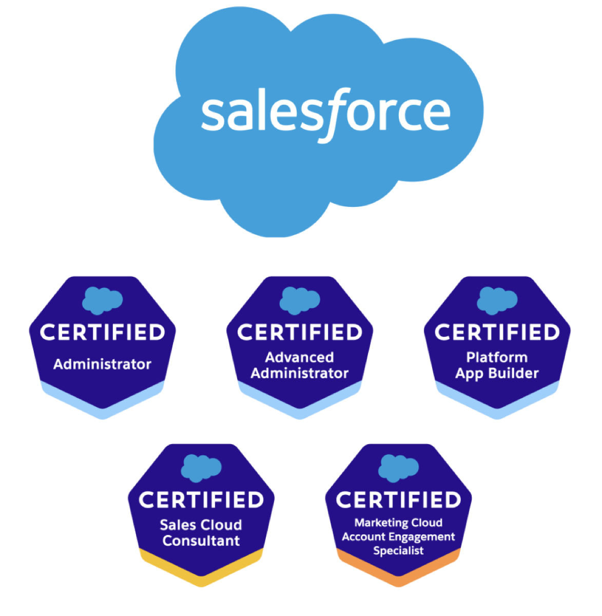 Salesforce認定資格